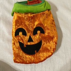 Pet Halloween Costume